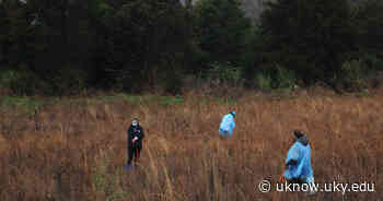 Lewis Honors Students Plant 1200 Trees, Help Restore Appalachian Forest - UKNow