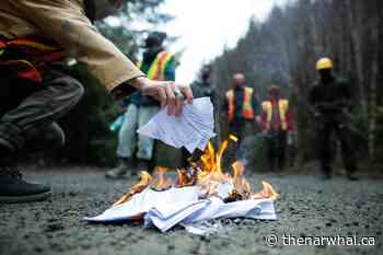As Fairy Creek blockaders brace for arrests, B.C.’s failure to enact old-growth protections draws fire - The Narwhal