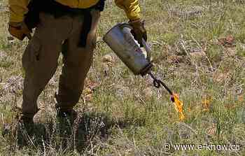 Prescribed burn planned for Forest Crowne area | Kimberley - E-Know.ca