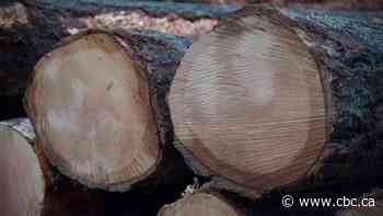 Alberta must retract Forest Act before it becomes law: Treaty 8 grand chief - CBC.ca