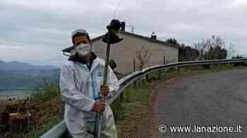 Non ci sono operai comunali, l'erba la tagliano sindaco, assessori e cittadini - LA NAZIONE