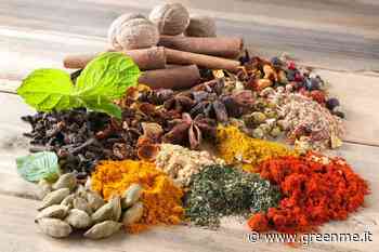 Come scegliere la migliore spezia o erba aromatica per esaltare il sapore di ciascun ortaggio - greenMe.it