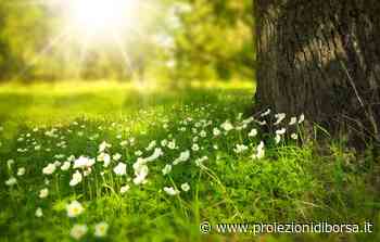 Dietro il buon odore dell’erba tagliata si nasconde un piccolo triste segreto che pochi sanno - Proiezioni di Borsa