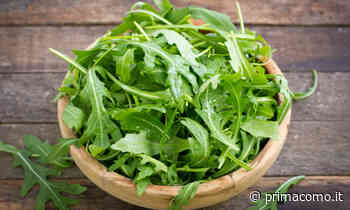 In regalo con il Giornale di Cantù, Giornale di Erba e Giornale di Olgiate i semi di rucola - Prima Como