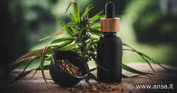 Anche i fumatori d'erba stanno passando al vaping - Tecnologia - Agenzia ANSA