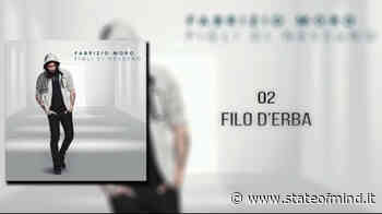 Filo d'erba: tra ferita dell'attaccamento e grido di speranza - Psicologia - State of Mind