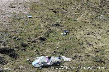 Earth Day 2021 will be a three day celebration - Bancroft This Week