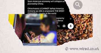 Covid lies are tearing through India’s family WhatsApp groups