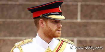 Prince Harry in uniform looks just like Prince Philip from 1957 pic