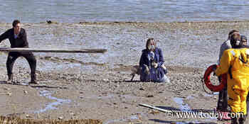 Massachusetts nurse, capturing the feeling of a nation, gets stuck in mud