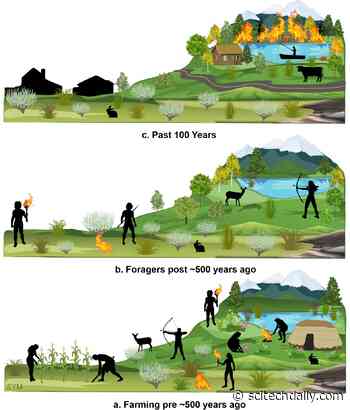Catastrophic Wildfires on the Fish Lake Plateau Reduced by Indigenous “Cultural Burning”