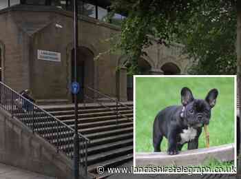 Rishton man to appear in court following investigation into illegal puppy selling gang