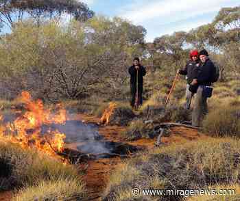 Cultural burn planned for Nowra's Triplarina Nature Reserve - Mirage News