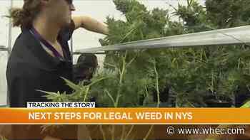 Top NY Assembly Leader: Process to sell legal weed in NY could 'speed up'