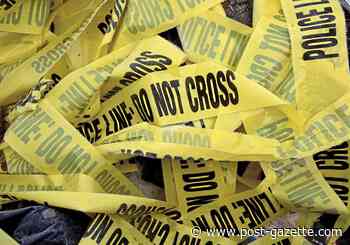 Schuylkill County man charged with murder in road rage stabbing in Eastern Pa.