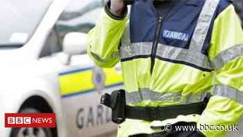 Tipperary: Child dies after being hit by bus