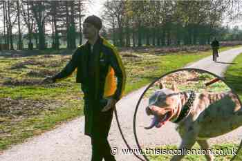 Father describes horrific Bushy Park dog attack at Easter