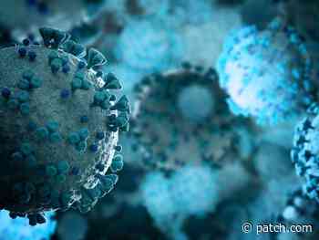 CT Coronavirus Positivity Rate, Hospitalizations, Up Slightly - Patch.com