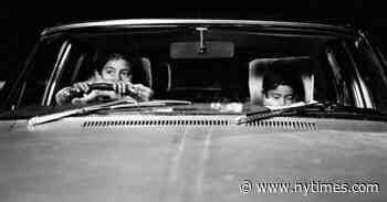 Every Film in This Oscar Category Is an Underdog You Can Root for