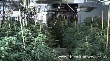 Police find cannabis farm worth £5m in warehouse on Heyrod Street, Manchester