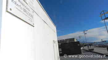 Voltri, una "foresta urbana" lungo la passeggiata: presto piantati 100 nuovi alberi - GenovaToday