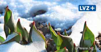 Erneut etwas Schnee in Oschatz – der April macht, was er will - Leipziger Volkszeitung