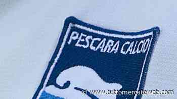 Pescara, nessuna nuova positività al Covid-19: situazione in costante monitoraggio - TUTTO mercato WEB