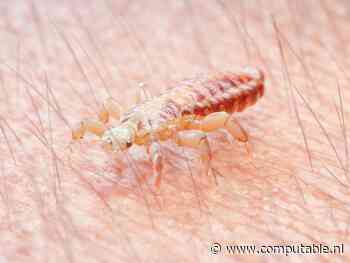 Luis in de pels 123inkt.nl stort zich op mps-markt