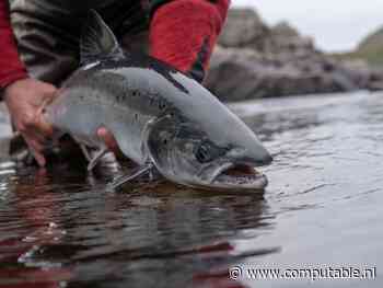 Zweedse Dustin slaat Centralpoint aan de haak