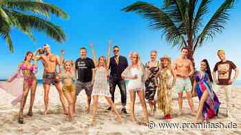 Küssen, kotzen, dissen: So krass wird "Promis unter Palmen"! - Promiflash.de