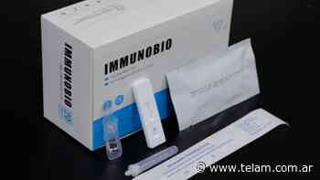 Autorizan que se venda en farmacias un test rápido para detectar coronavirus - Télam