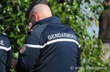 Boran-sur-Oise : les gendarmes stoppent la soirée d'anniversaire - Le Parisien