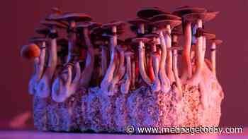 Can Magic Mushrooms Measure Up to SSRIs for Depression Treatment?