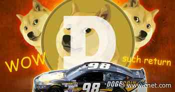 Dogecoin: How a meme transformed into a real cryptocurrency     - CNET