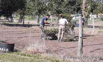 Buenos Aires: solicitan la apertura de las residencias en las escuelas agrarias - Agrofy News