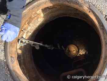 Calgary wastewater samples show recent spike in coronavirus - Calgary Herald