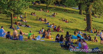 "This is about leisurely and responsible imbibing": A Q&A with the Toronto councillor trying to legalize drinking in public parks - Toronto Life