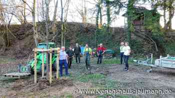 Steinen: Einer von 100 Bäumen - Steinen - www.verlagshaus-jaumann.de