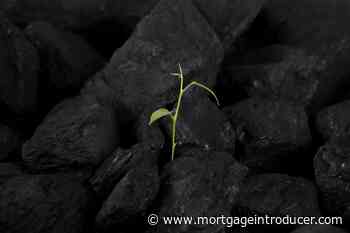 Dudley Building Society goes carbon neutral - Mortgage Introducer