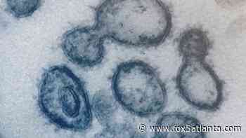 2 new studies find UK B.1.1.7 coronavirus variant more transmissible, but not linked to COVID-19 severity - FOX 5 Atlanta