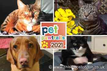 Vote for the winner of our 2021 Pet Pawtraits competition