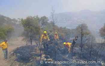 Sufre la Conafor recorte millonario - El Sol de Cuernavaca