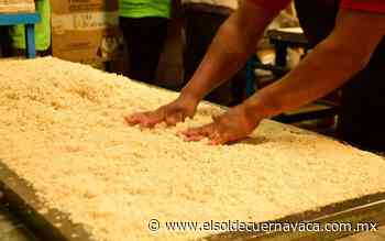 El amaranto está en riesgo de desaparecer - El Sol de Cuernavaca