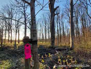 Deel pijltjes Coronarun 2.0 al na twee dagen verdwenen