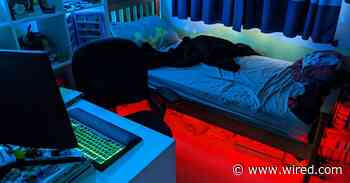 How to Use Smart Lighting to Transform Your Kid’s Bedroom