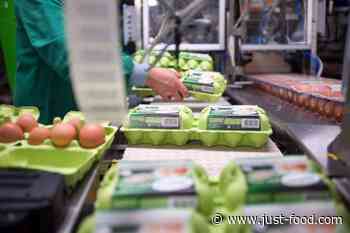 France's Avril to offload assets under new strategic focus - just-food.com