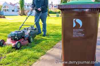 Switch to using brown bins for both food and garden waste in Derry & Strabane - Derry Journal