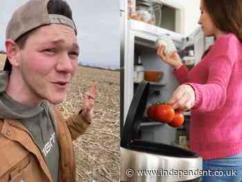 Farmer explains how long different foods really last past their expiration date in viral TikTok - The Independent