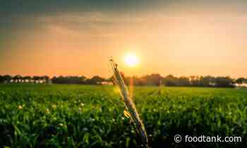 Experts Discuss the Connection Between Human and Planetary Health – Food Tank - Food Tank