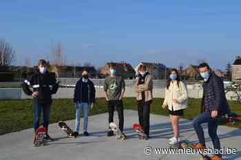 Gemeente wil nog voor zomervakantie een tweede skatepark realiseren - Het Nieuwsblad